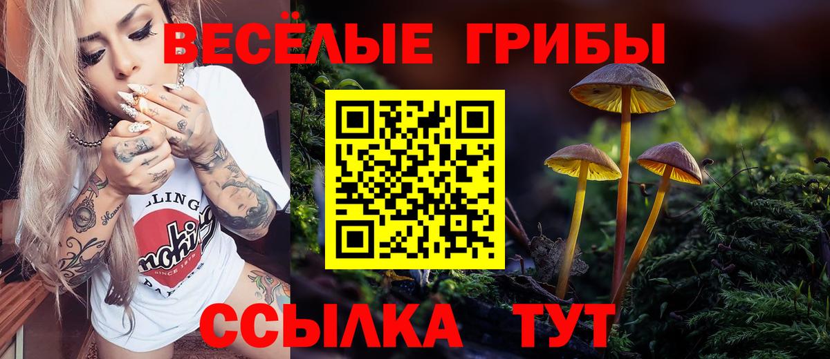 Галлюциногенные грибы Psilocybine cubensis  Псилоцибиновые грибы ЛСД  Шарыпово  Вход с VPN 